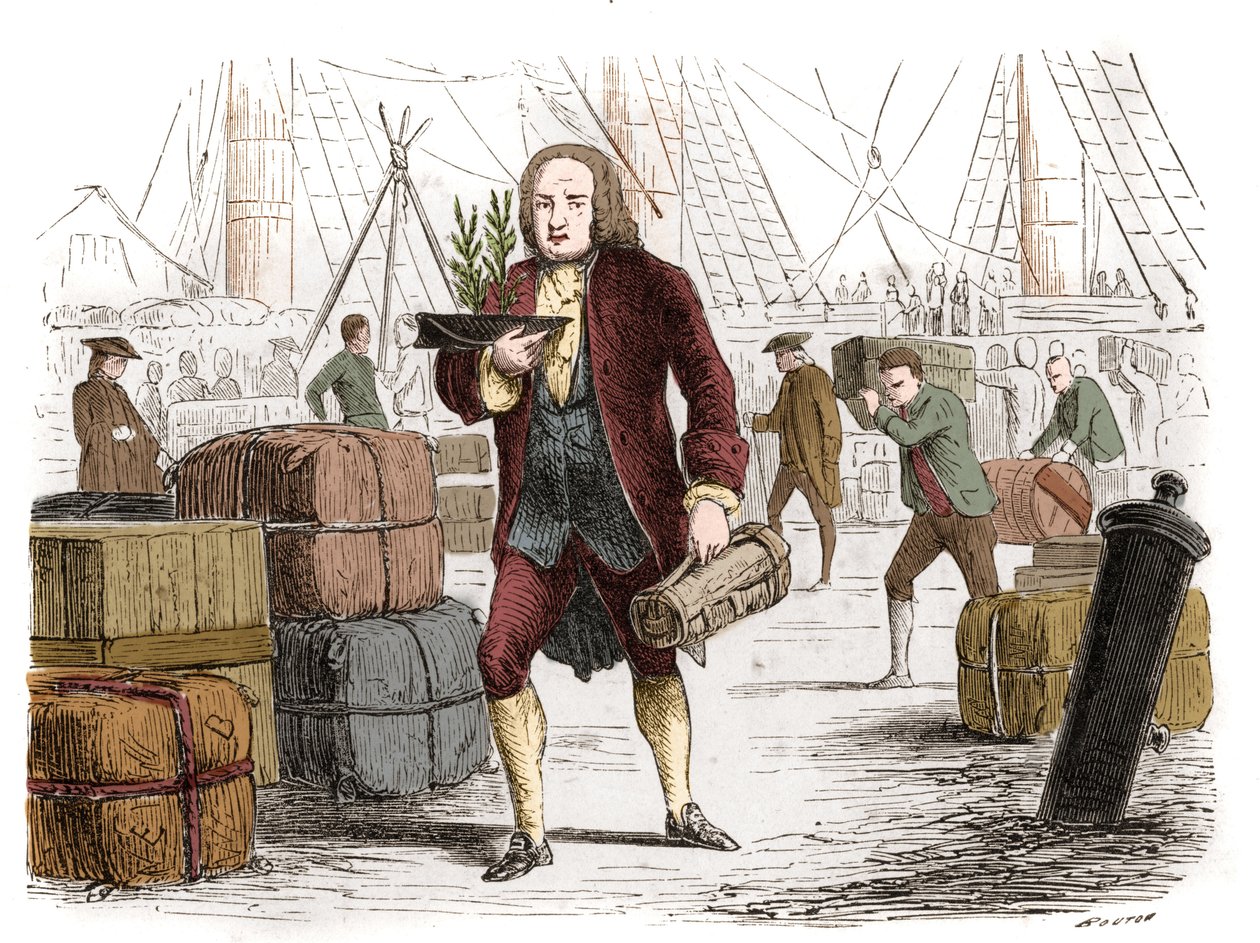 Bernard de Jussieu (1699-1777), französischer Botaniker, bringt 1734 zwei Zedern aus dem Libanon aus England. Gravur von 1861. von Unknown artist
