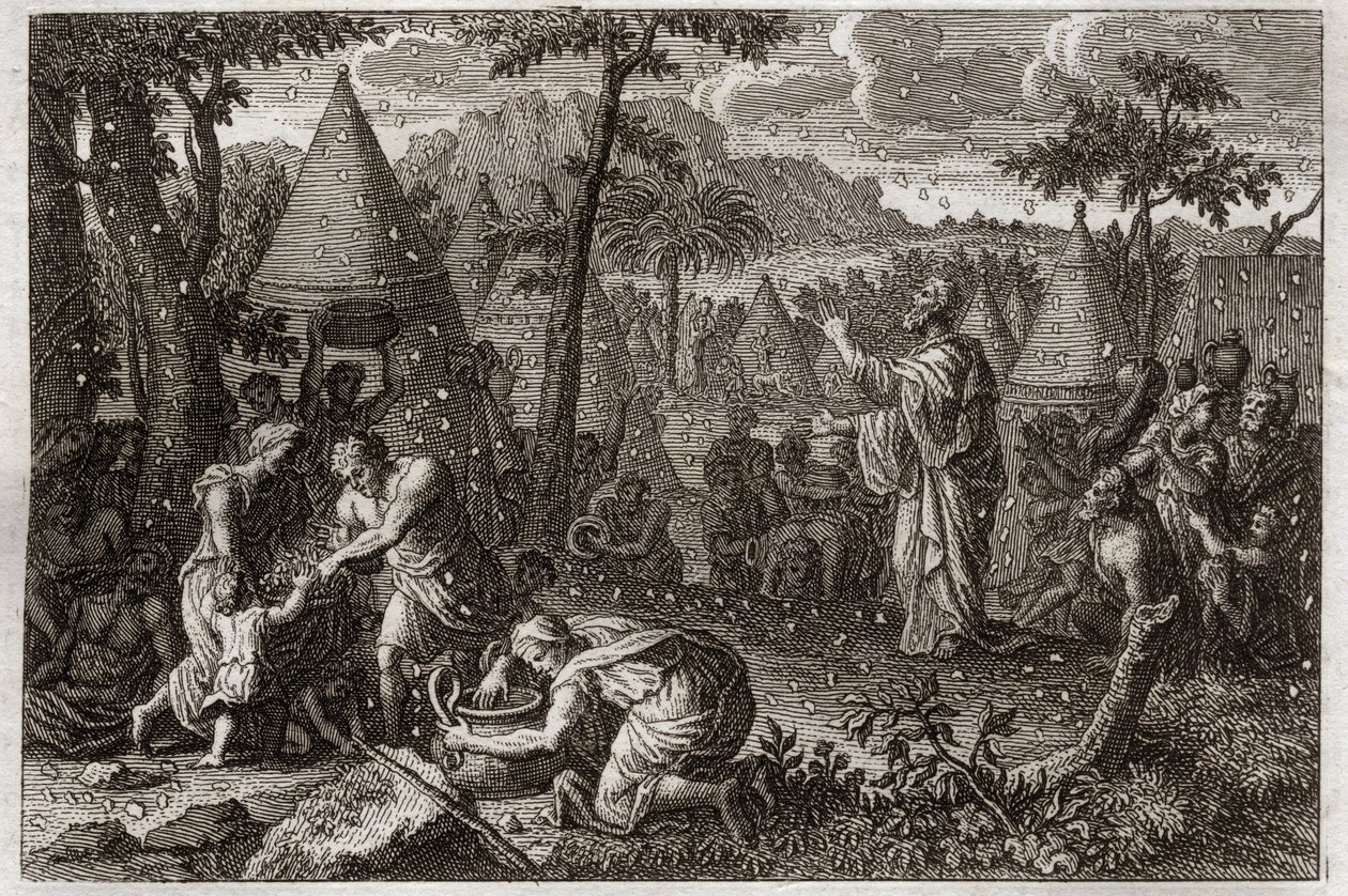 Bibel von Royaumont, Altes Testament: Die Juden in der Wüste (oder die Sammlung von Manna). Gott lässt vierzig Jahre lang Manna vom Himmel fallen. Illustration von 1811. von Unknown artist