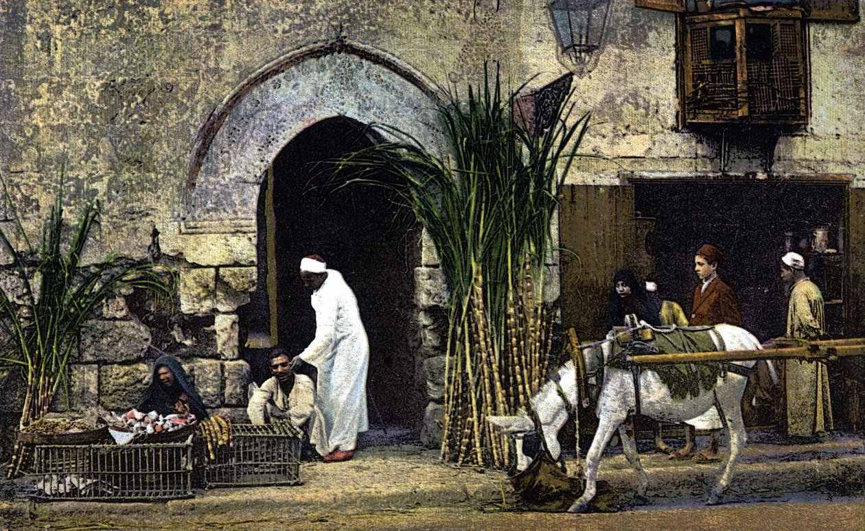 Zuckerrohrverkäufer. Kairo. Ägypten. Postkarte vom Anfang des 20. Jahrhunderts. von Unknown Artist