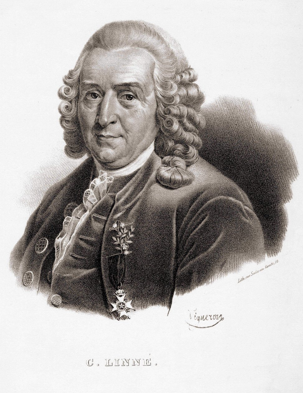 Carl von Linné schwedischer Naturforscher und Schriftsteller (1707 - 1778) von Unknown artist