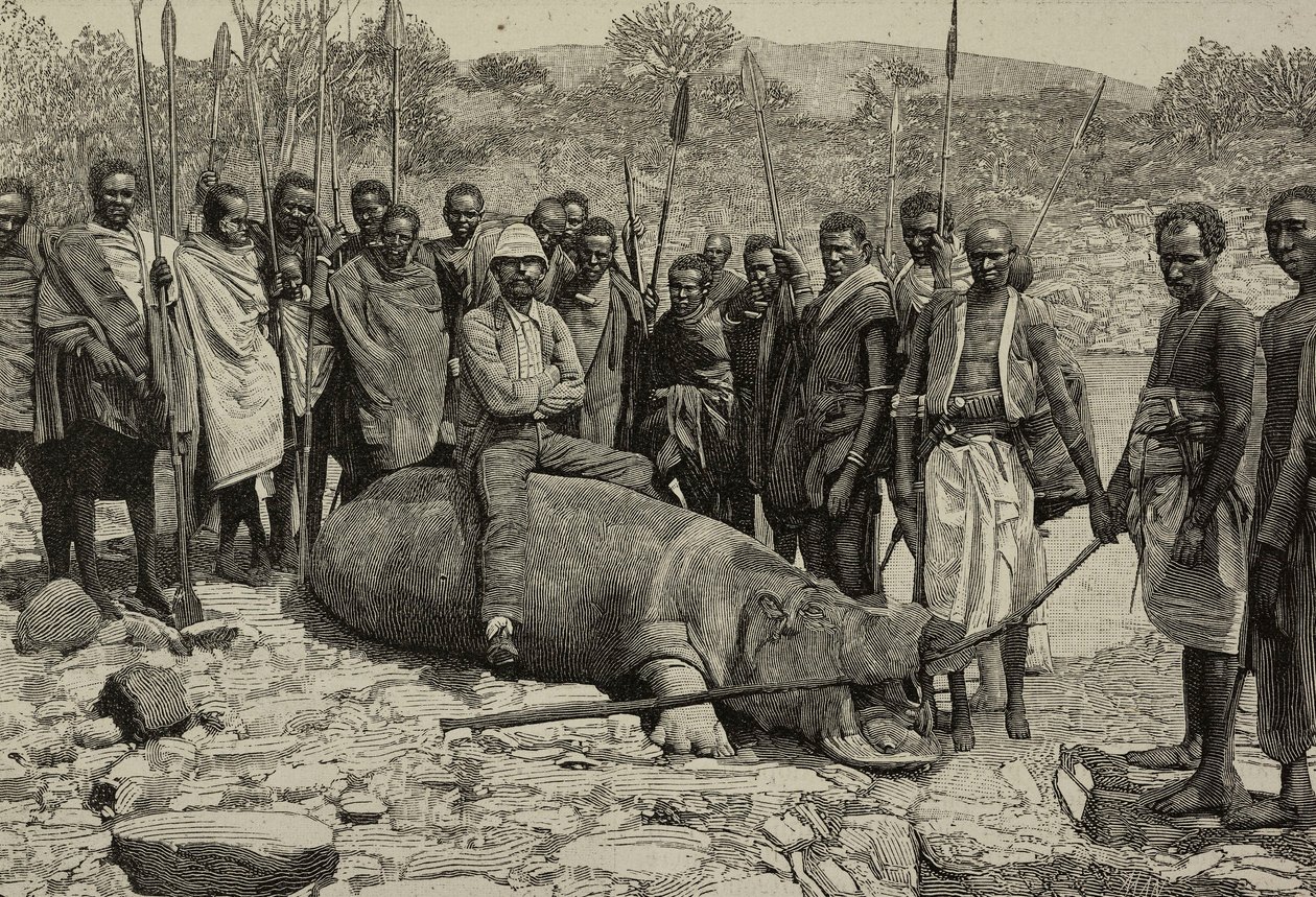 Fang eines Nilpferds aus dem Jubba-Fluss, Afrika, Gravur aus L