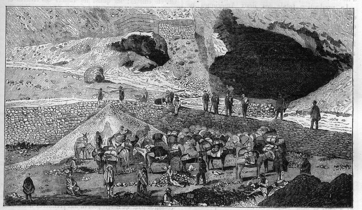 Silbermine Cerro de Pasco in Peru: Transport von Erz auf dem Rücken von Maultieren. Gravur in „La Nature“ von Unknown artist