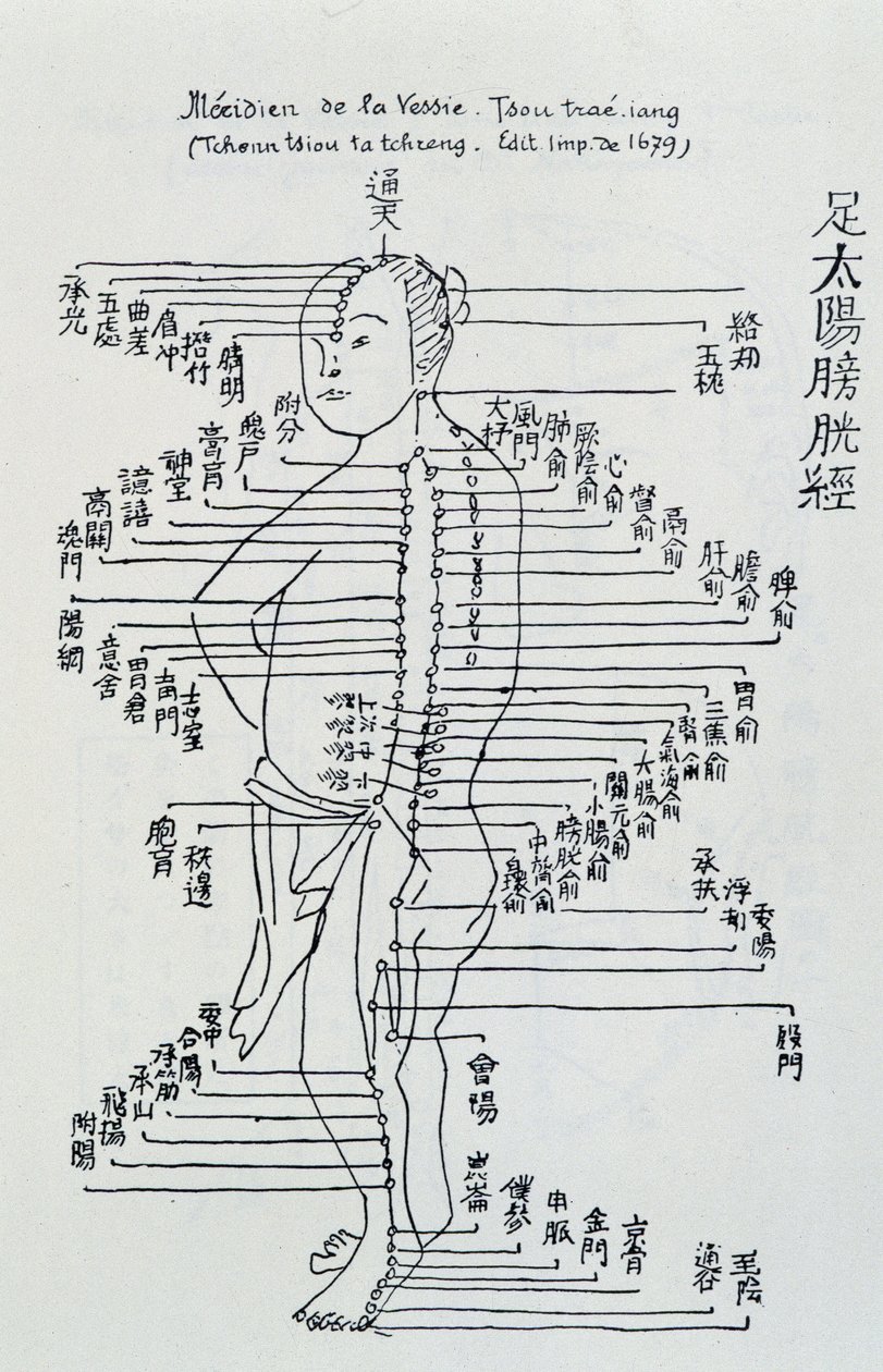 Chinesische Akupunktur: der Meridian der Blase von Unknown artist