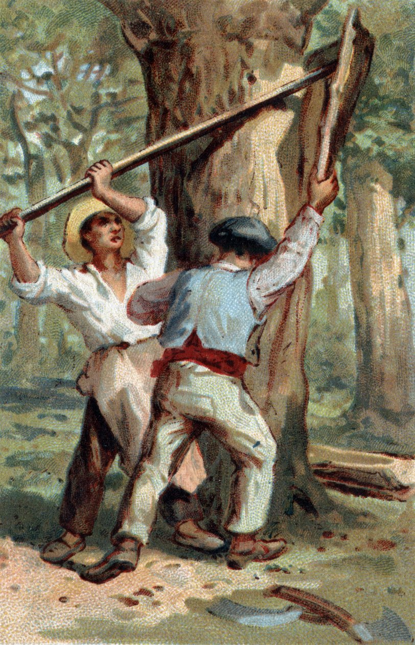 Chromolithographie des späten 19. Jahrhunderts. von Unknown artist