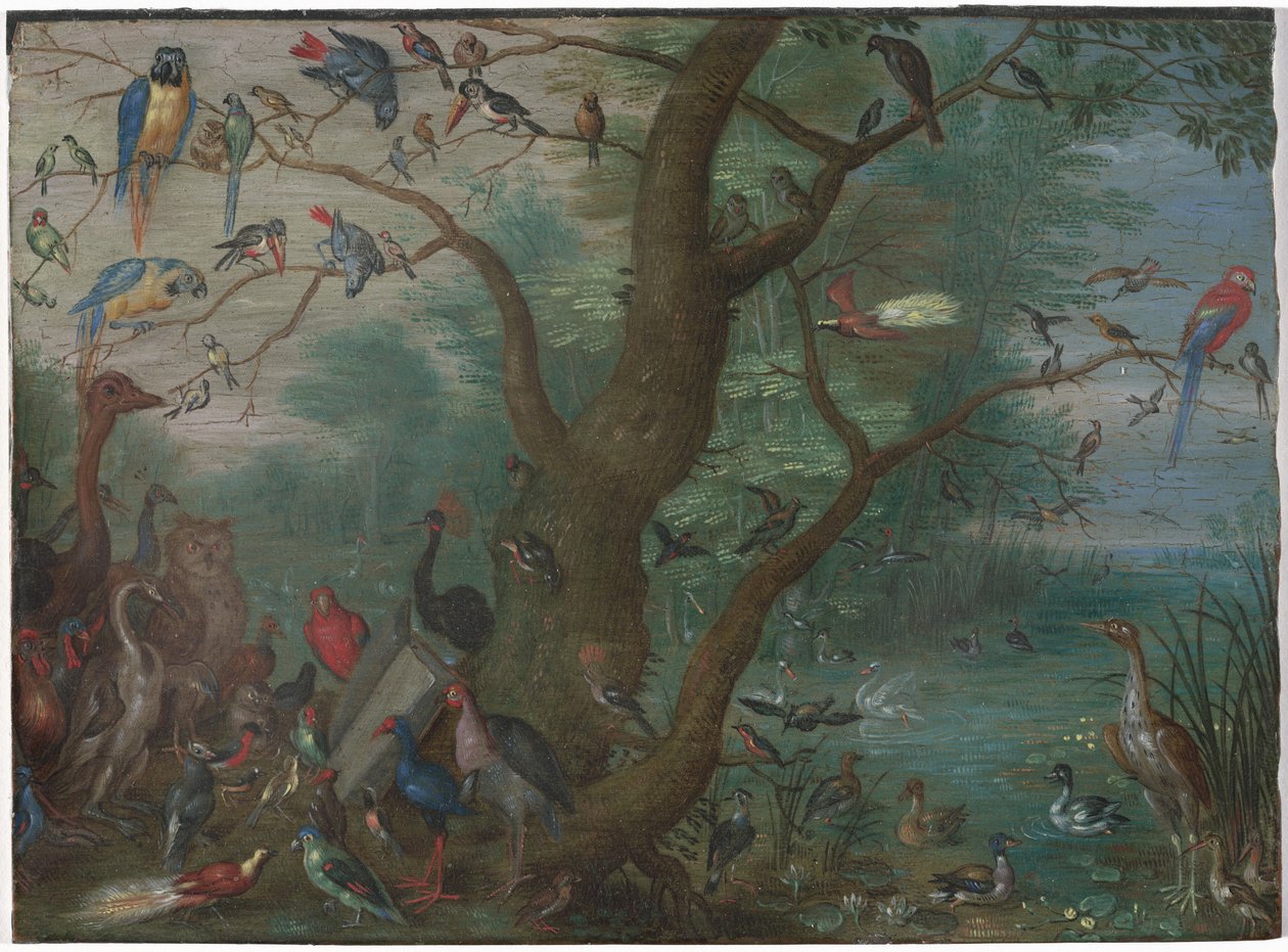 Konzert der Vögel von Unknown Artist