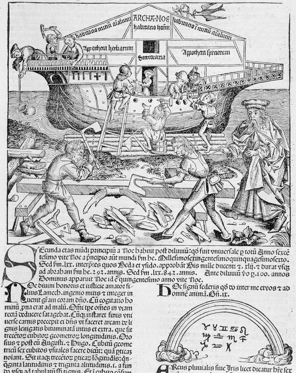 Bau der Arche Noah - in "Chronik von Nürnberg" von Unknown artist