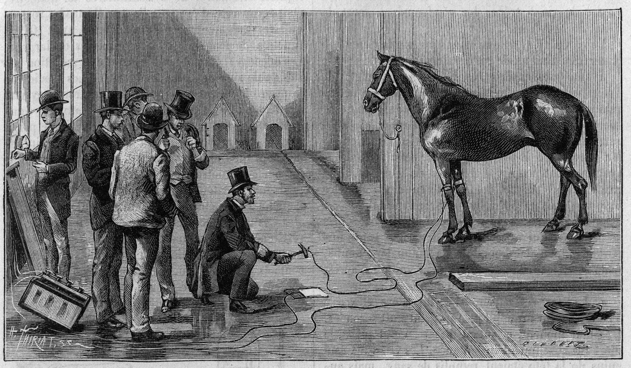 Tod durch Elektrizität: Ein Pferd wird bei einem Experiment im Labor von Edison in Orange (USA) durch Elektrizität getötet. Gravur in „La Nature: revue des sciences et de leurs applications aux arts et a l