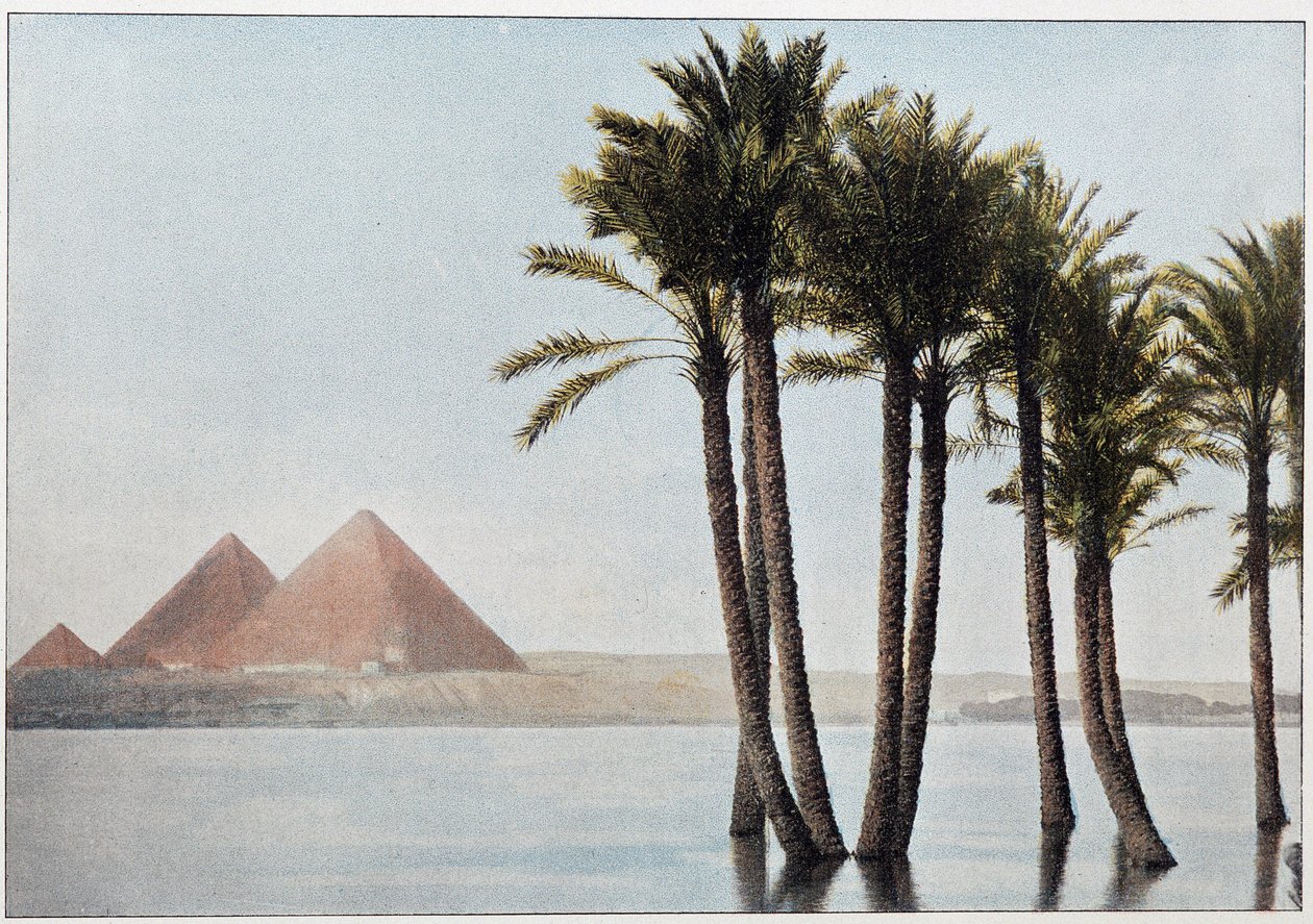 Ägypten: die Flut des Nils und die Pyramiden von Gizeh von Unknown artist