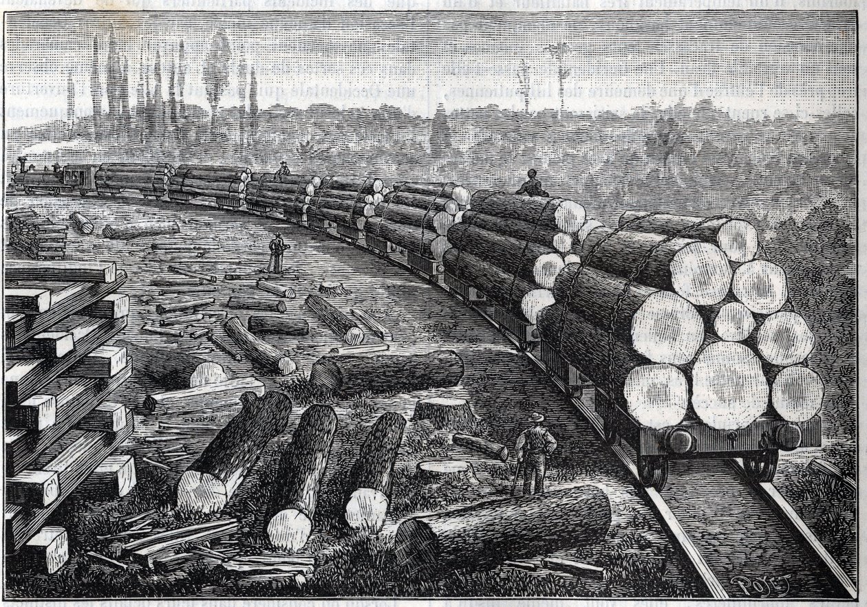 Ausbeutung der Wälder der Vereinigten Staaten. Temporäre Eisenbahnen mit Holzschienen. Wagen transportieren Baumstämme. Gravur in „La Nature“ von Unknown artist