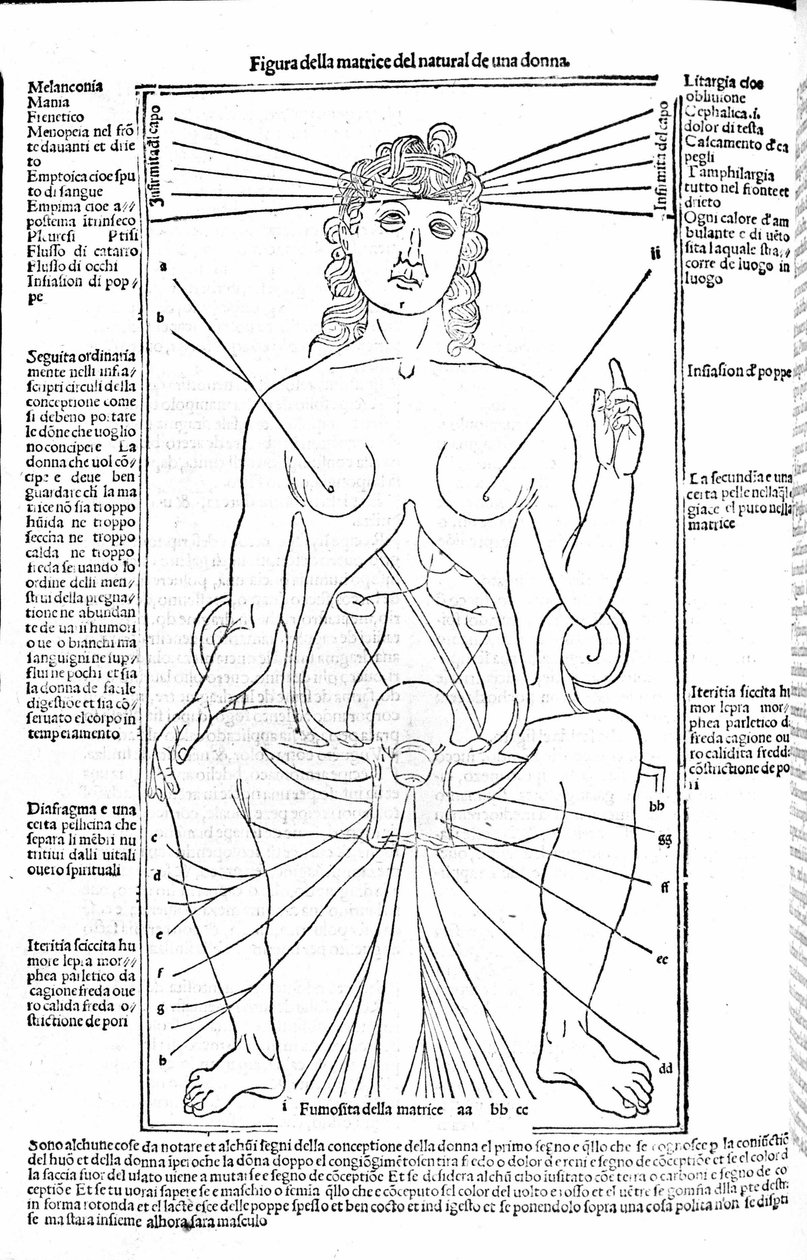 Weibliche Fortpflanzungsorgane - in Abhandlung der Medizin von Gerolamo Cardano (Cardano) (Cardanus Hieronymus), Florenz 1585. von Unknown artist