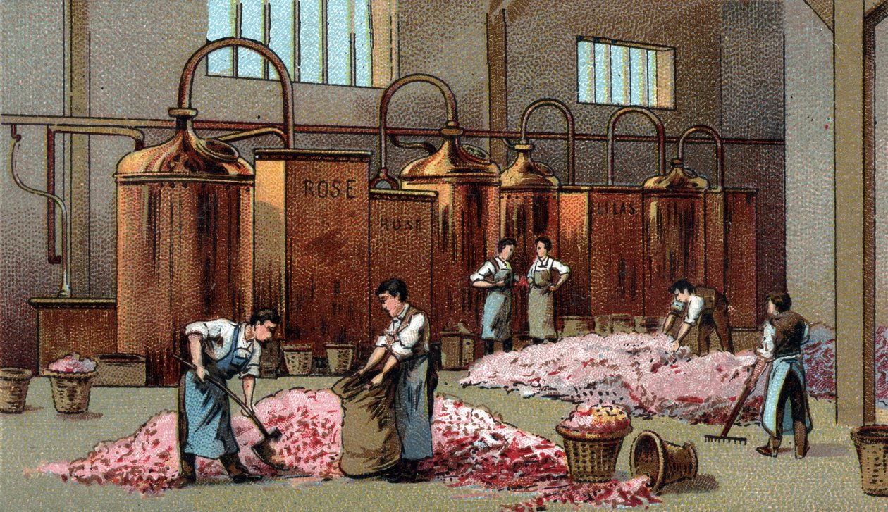 Blumendestillerie zur Herstellung von Blumenöl und -wasser. Chromolithographie aus dem späten 19. Jahrhundert. von Unknown artist