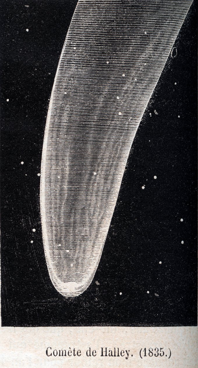 Halleyscher Komet 1835 - Gravur um 1867 von Unknown artist