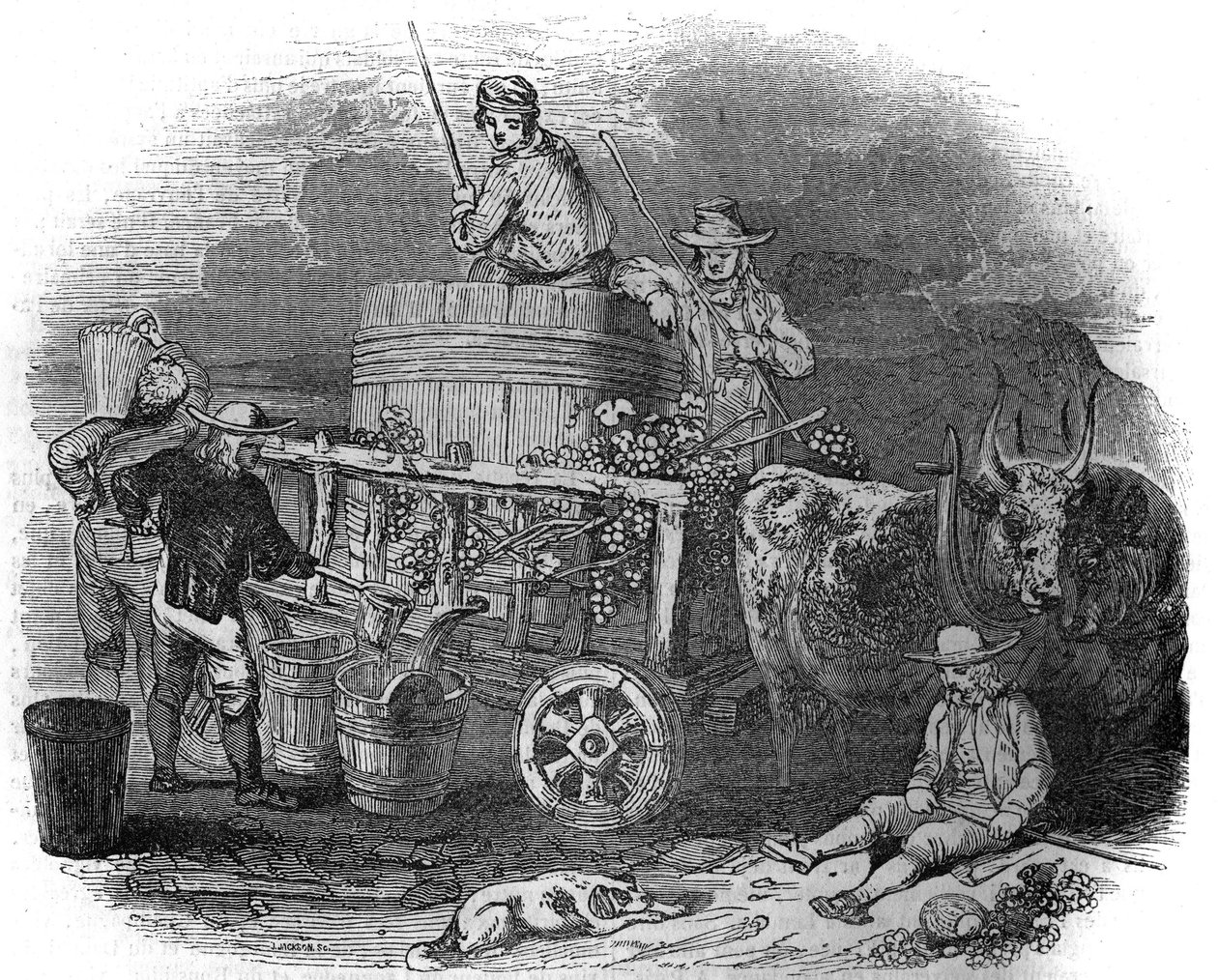 Erntearbeiter in Pola (Pula) (Istrien) in Kroatien im 19. Jahrhundert. von Unknown artist