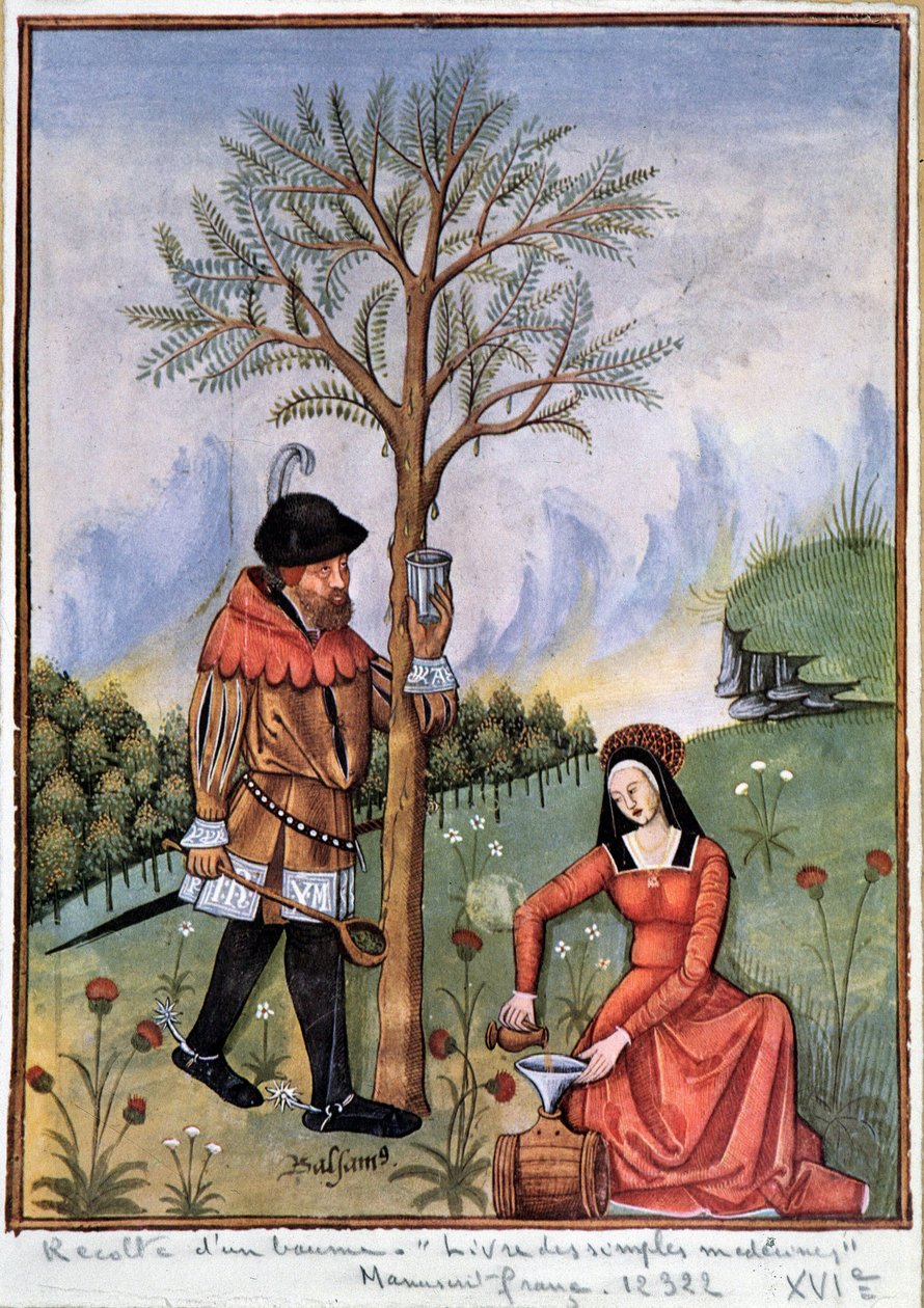 Ernte eines Balsams - Buch der einfachen Heilmittel von Unknown artist
