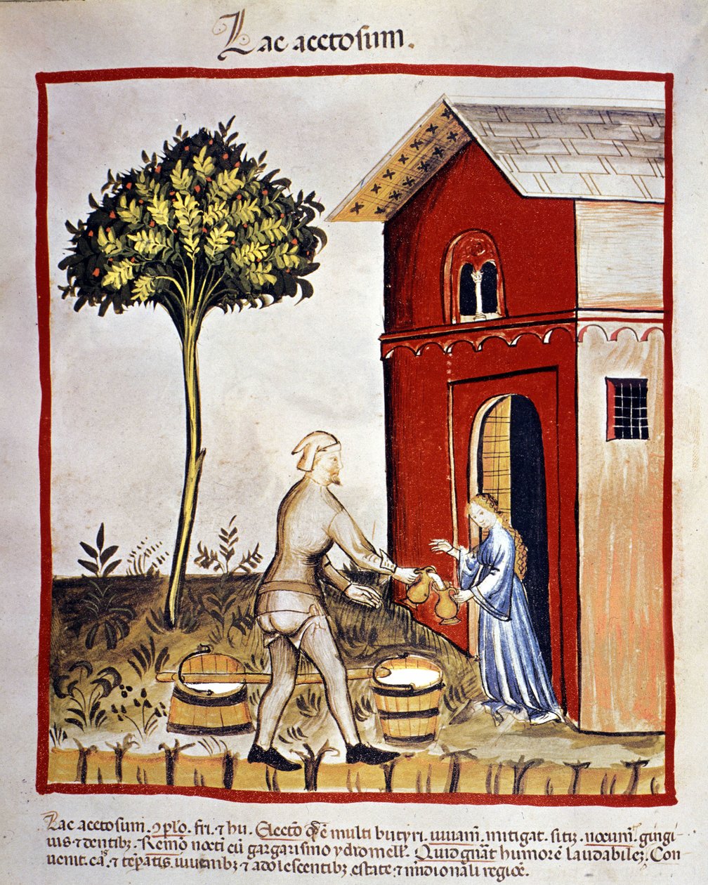 Geschichte der Milchprodukte: Verteilung von Joghurt (acetosium lake). Beleuchtung aus dem "Tacuinum sanitatis" von Unknown artist