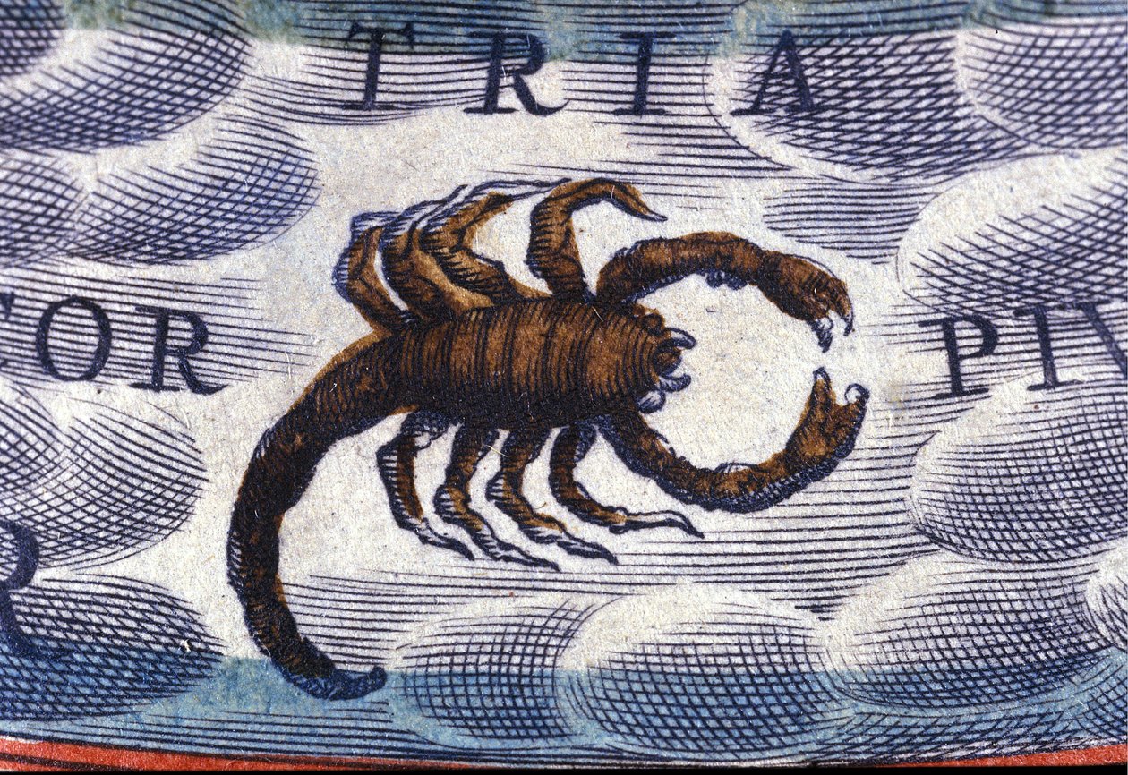 Horoskop: Sternzeichen Skorpion von Unknown artist