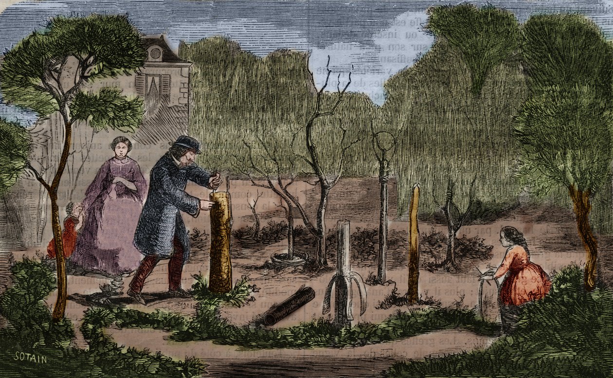 Gartenbau: Hauptmethoden der Pflanzenverpflanzung. Gravur von 1860 von Unknown artist