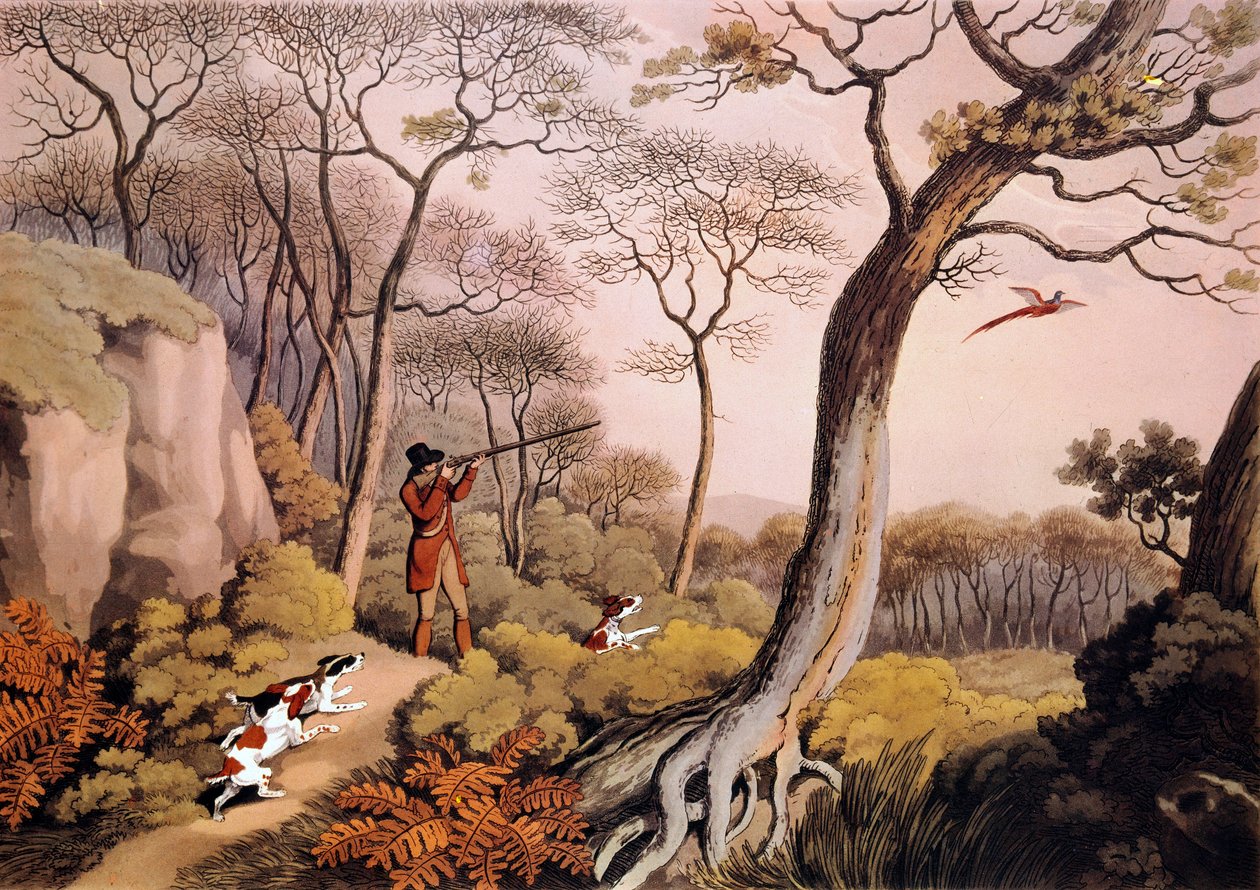 Fasanenjagd in England. 19. Jahrhundert Gravur. Gien, Jagdmuseum von Unknown artist