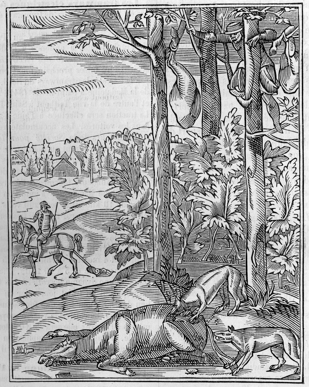 Wolfjagd: der Ausguck. Faksimile eines Holzschnitts aus dem 16. Jahrhundert. Gravur in „La Nature: revue des sciences et de leurs applications aux arts et a l