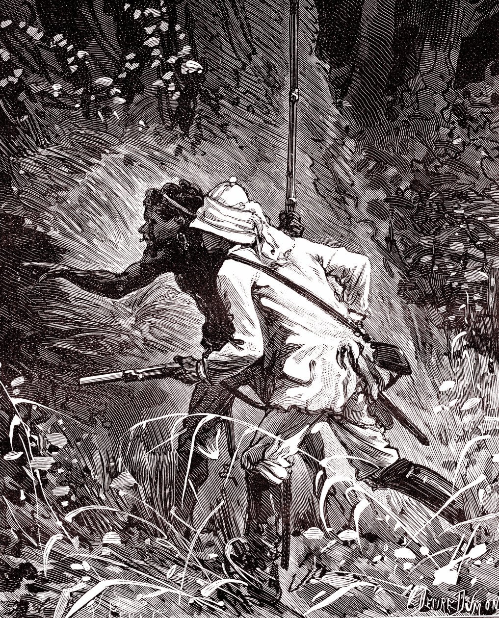 In den Kautschukfeldern (Hevea) im Dschungel von Guyana von Unknown artist