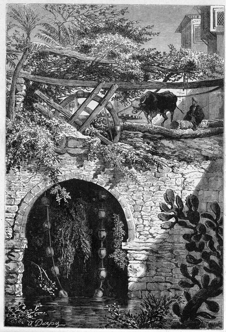 Bewässerung in Ägypten: ein Ochse dreht ein Rad, um das Eimer gewickelt sind. Gravur in „Le Monde Illustré“ Nr. 1313 vom 27. Mai 1882. von Unknown artist