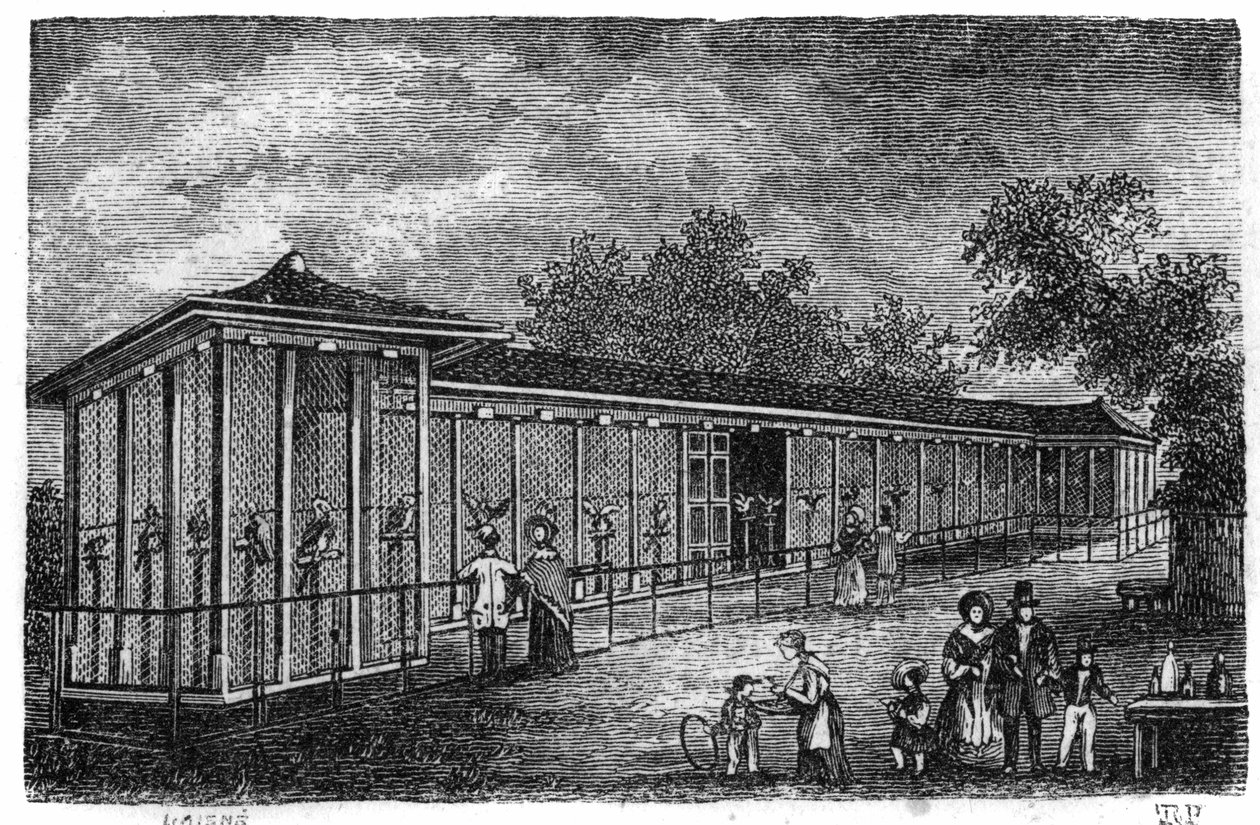 Jardin des Plantes in Paris im Jahr 1861: Falknerei. von Unknown artist