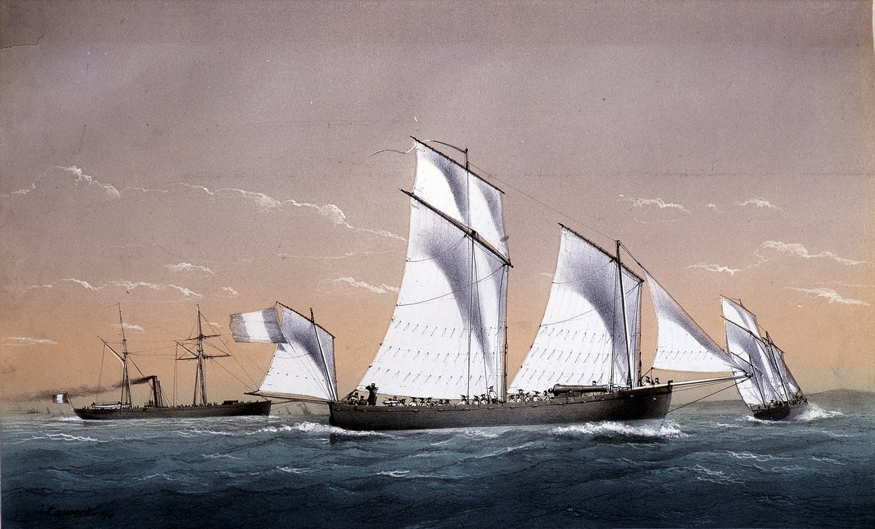 Die universelle Flotte - in „Marines um 1850“, A.D. von Unknown artist