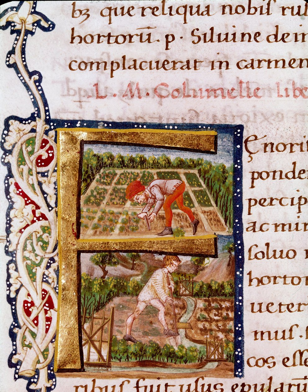 Lettrine F aus dem Kapitel über Gartenbau: Szenen des Pflügens und der Bewässerung. Miniatur aus „De re rustica“ von dem Agronomen Lucius Iunius Moderatus Columella (1. Jahrhundert) (Ms.E-39). 15. Jahrhundert. Rom, Biblioteca Vallicelliana von Unknown artist