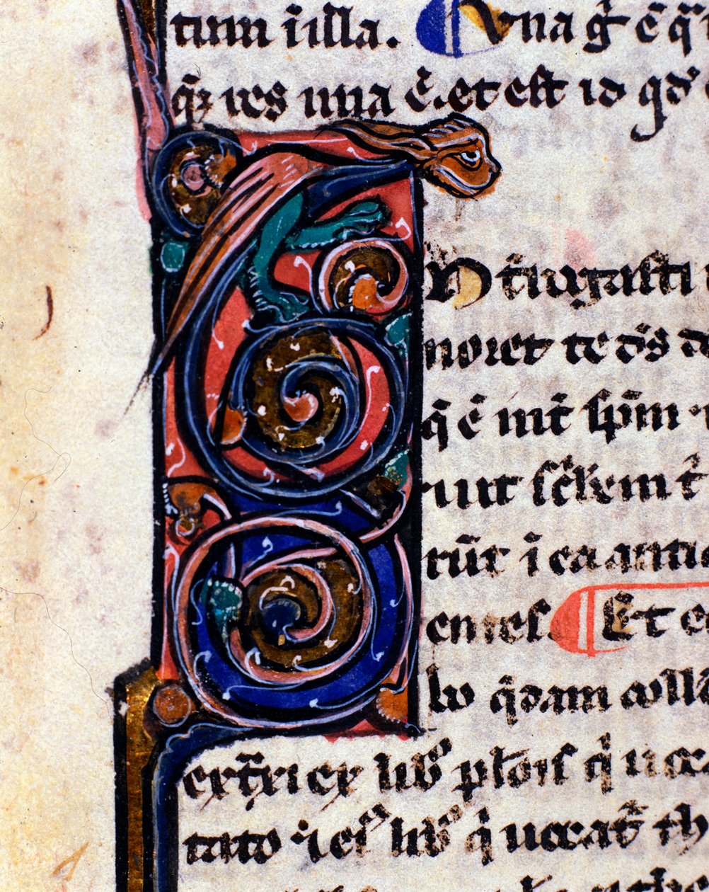 Verzierte Lettrine eines gotischen Monsters, das an Wasserspeier erinnert. Detail eines Manuskripts aus dem 14. Jahrhundert von Unknown artist