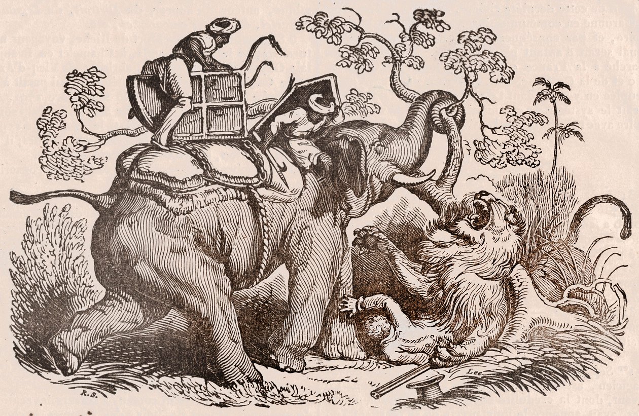 Löwenjagd-Szene: Der Jäger, Grab des Elefanten, ist jetzt in den Klauen des Löwen (Gravur) von Unknown artist