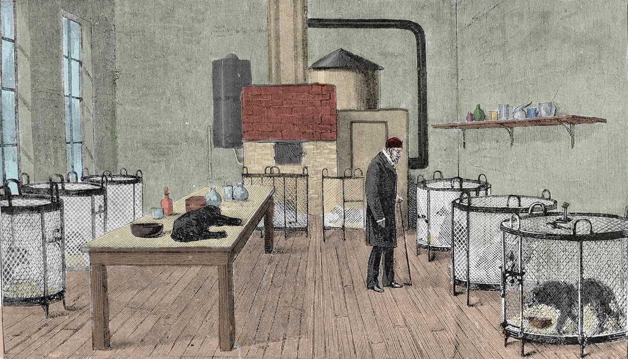 Louis Pasteur (1822-1895), französischer Chemiker und Physiker in seinem Labor in Paris. von Unknown artist