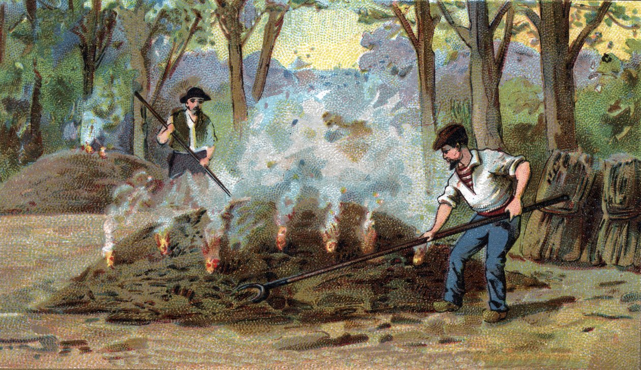Holzkohleherstellung, Verbrennungsofen. Chromolithographie aus dem späten 19. Jahrhundert. von Unknown artist