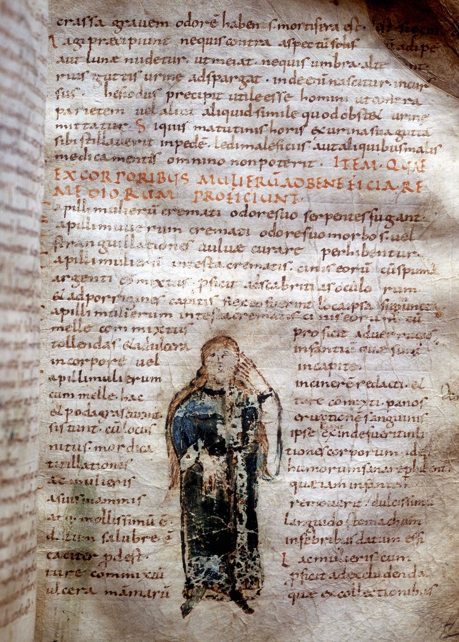 Manuskriptseite aus „De simplicibus medicamentis“ von Claude Galien. 8. oder 9. Jahrhundert. Governativa von Lucca von Unknown artist