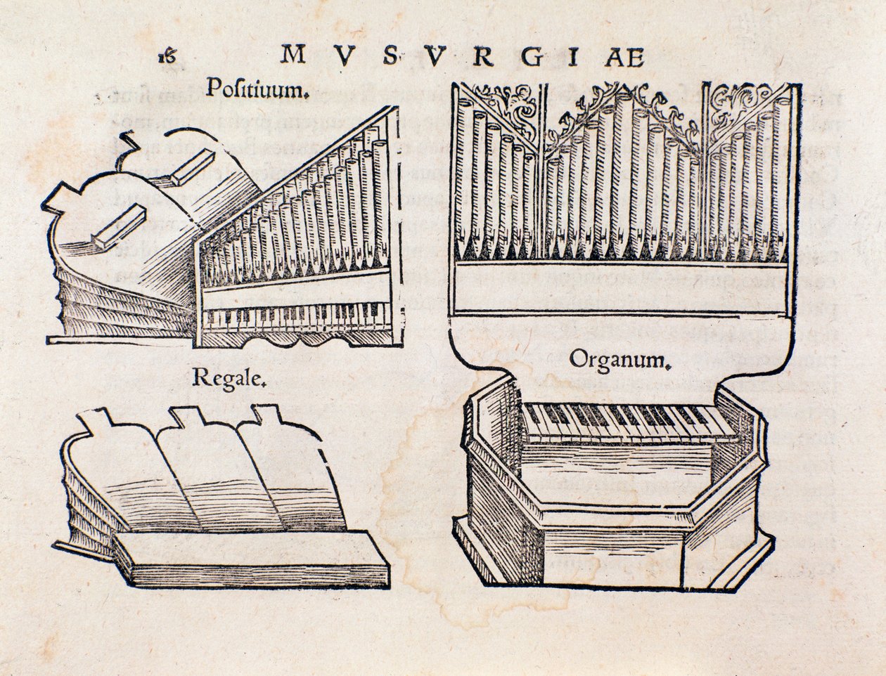 Orgel Darstellung. Seite aus Musurgia, praktisches Handbuch der Musik von Unknown artist