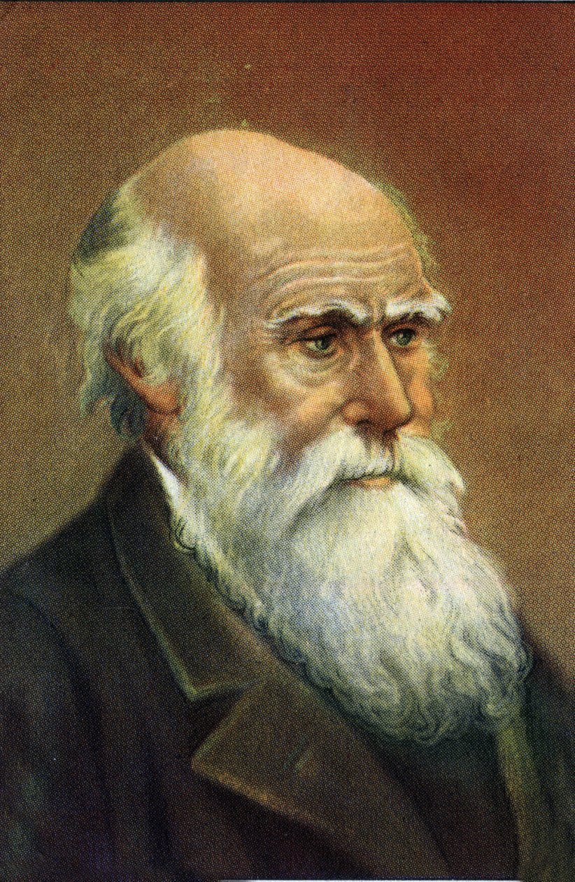 Fotografisches Porträt von Charles Darwin (1809 - 1882), englischer Naturforscher von Unknown Artist
