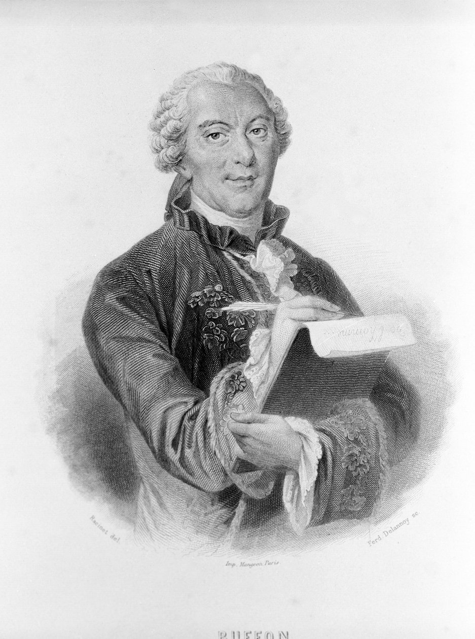 Porträt von Buffon (1707 - 1788), französischer Naturforscher und Schriftsteller von Unknown artist