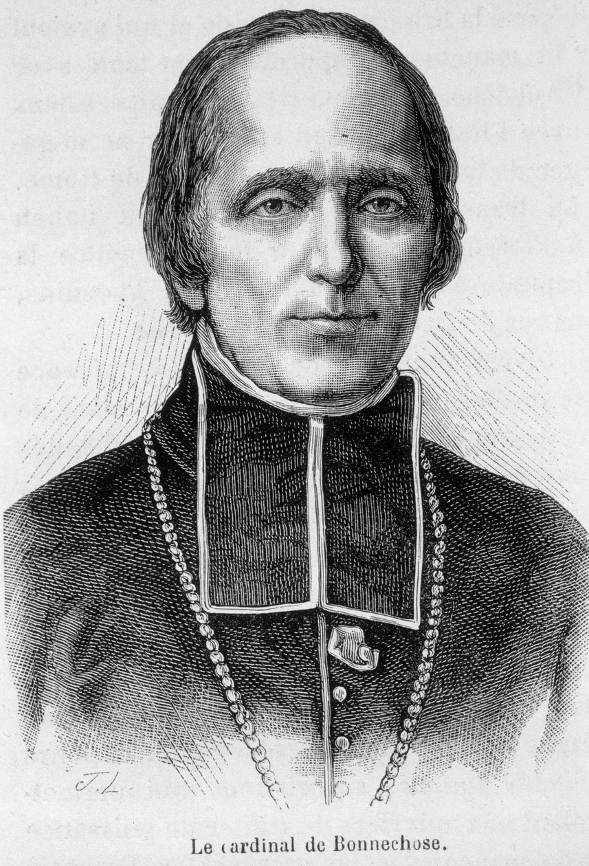 Porträt von Kardinal de Bonnechose von Unknown artist