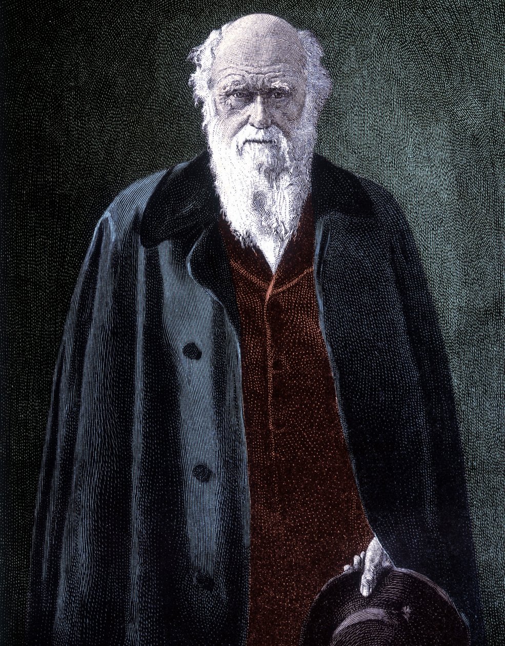 Porträt von Charles Darwin, britischer Naturforscher (1809 - 1882) von Unknown artist