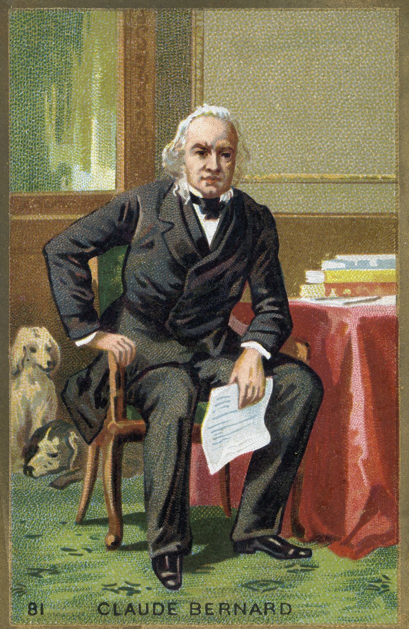 Porträt von Claude Bernard (1813-1878), französischer Physiologe von Unknown artist