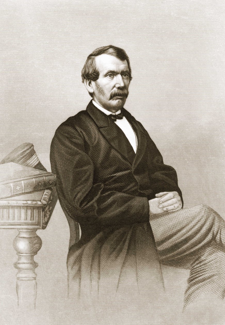 Porträt von David Livingstone (1813 - 1873) von Unknown artist