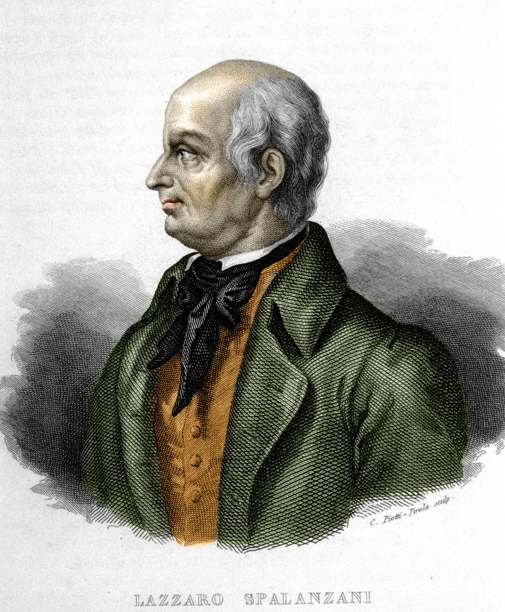 Porträt von Lazzaro Spallanzani, italienischer Biologe (1729-1799) von Unknown artist
