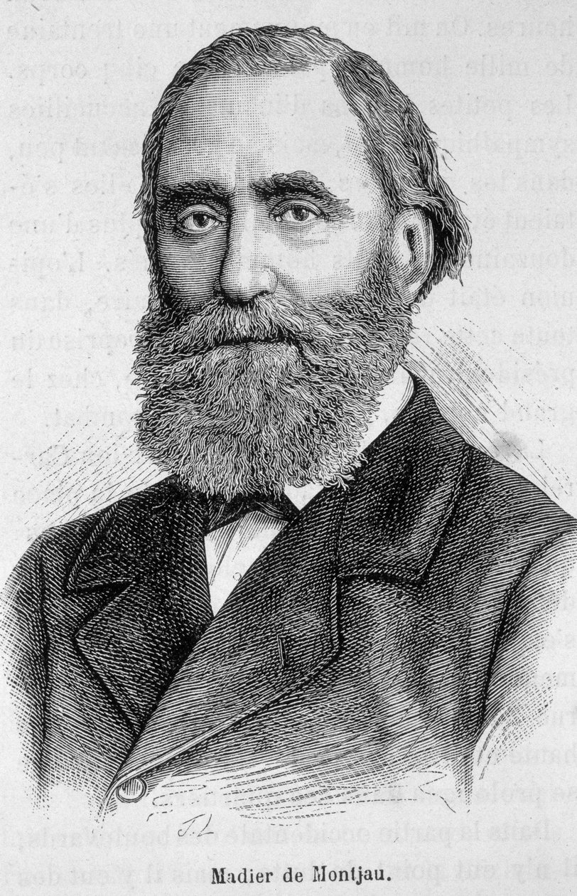Porträt von Madier de Montjau, französischer Parlamentarier des 19. Jahrhunderts von Unknown artist