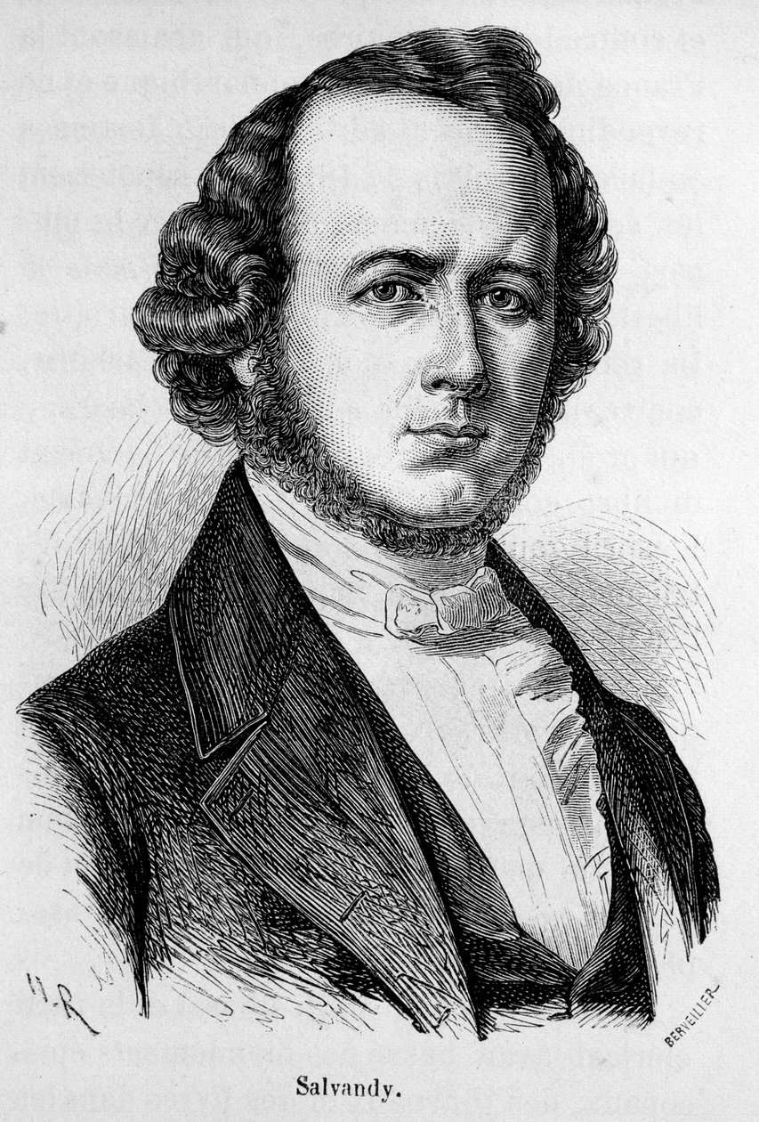 Porträt von Narcissus Achilles, Graf von Salvandy, französischer Politiker (1795 - 1856) von Unknown artist