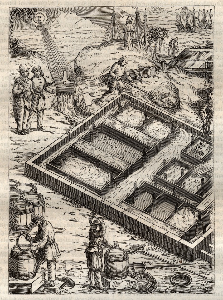 Salzgewinnung durch Verdampfen von Meerwasser in Salinen. Aus „De re metallica“ von Georgius Agricola (Georg Bauer). (Basel 1556) - Salzproduktion: Meerwasser wird in große Schalen gegossen, verdampft und hinterlässt Salzablagerungen. Gravur aus „De re met von Unknown artist