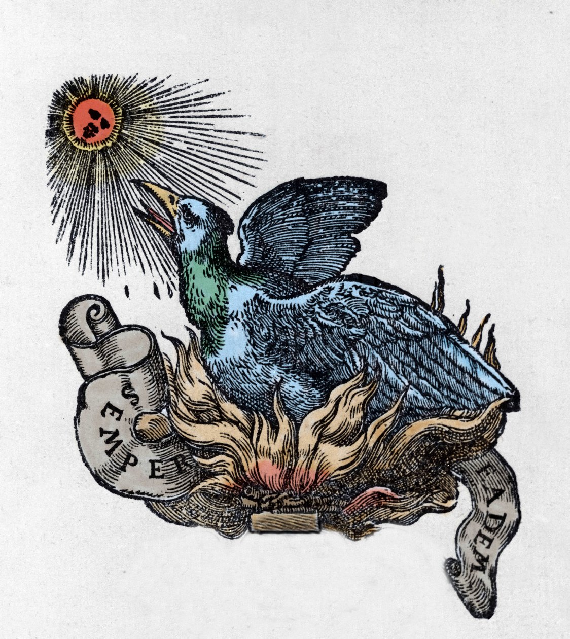 Darstellung eines Phönix, legendärer Vogel, der aus seiner Asche wiedergeboren wird. Gravur des 19. Jahrhunderts von Unknown artist
