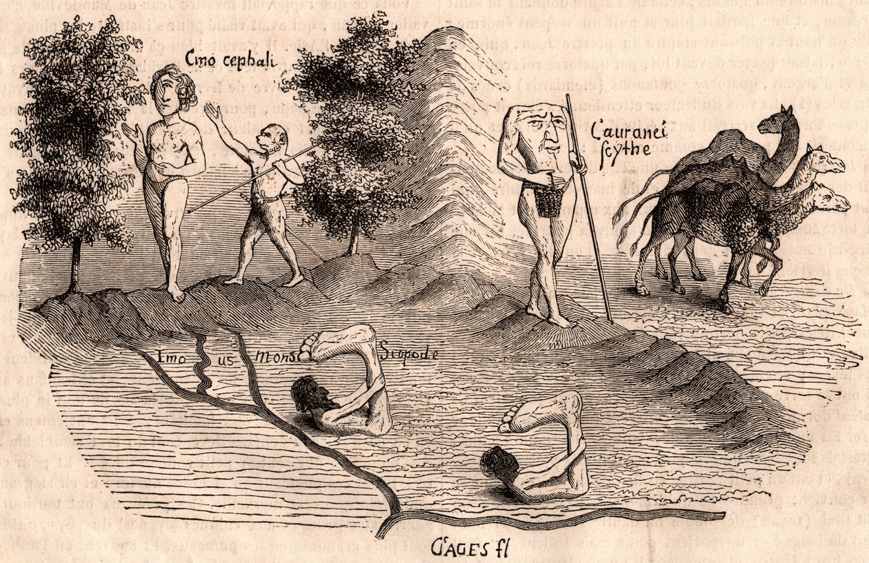 Darstellung mittelalterlicher Stämme und Tierarten: Monokel, Blemmys, Sciopoden und Kamele von Unknown artist