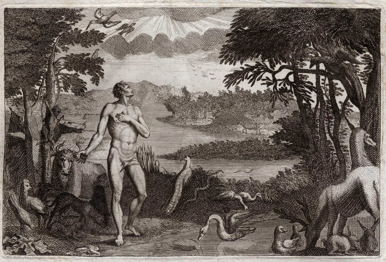 Royaumont-Bibel, Altes Testament: Schöpfung von Mann und Frau. Gott, der den Menschen erschaffen hat, setzt ihn ins irdische Paradies und verbietet ihm, von der Frucht des Baumes der Erkenntnis von Gut und Böse zu essen. Illustration von 1811 von Unknown artist