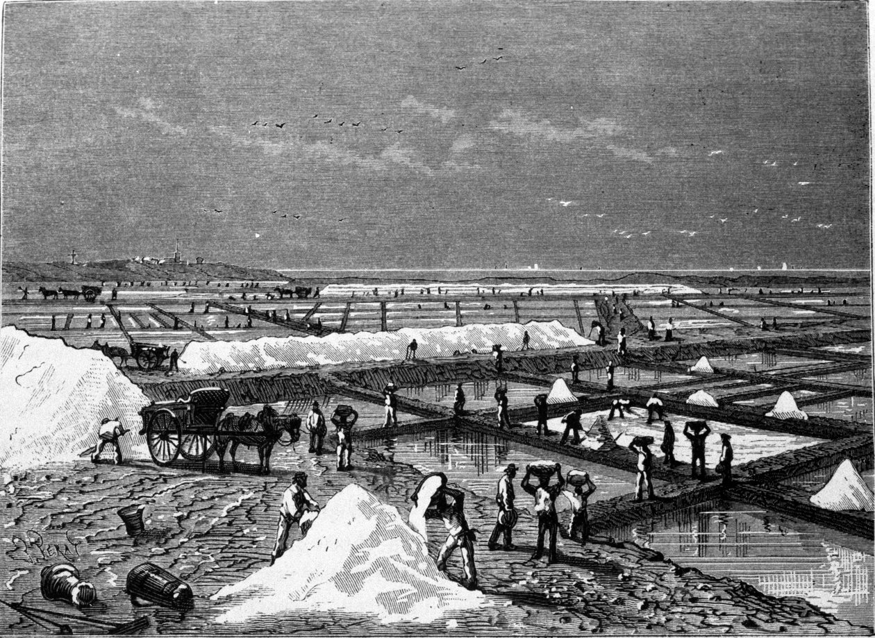 Salzproduktion: Ansicht eines Salzwerks. Gravur des 19. Jahrhunderts von Unknown artist