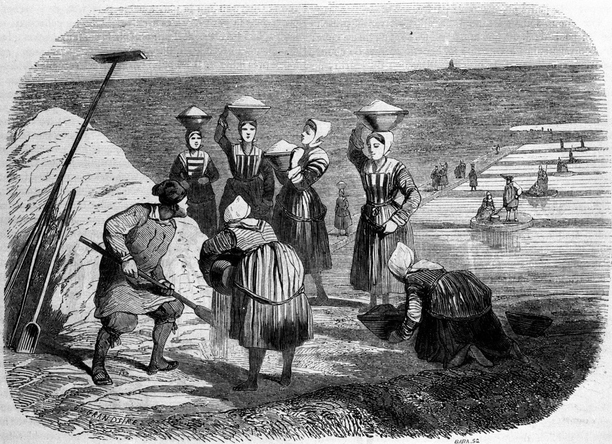 Salzproduktion: Frauen arbeiten in Salzgärten. Gravur des 19. Jahrhunderts von Unknown artist