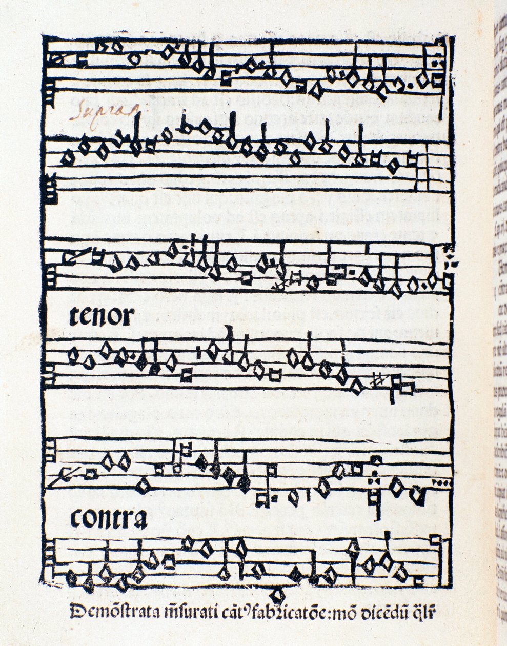 Notenblatt für Musikwissenschaftliche Studien und Dokumente von Nicola Burzio von Unknown artist
